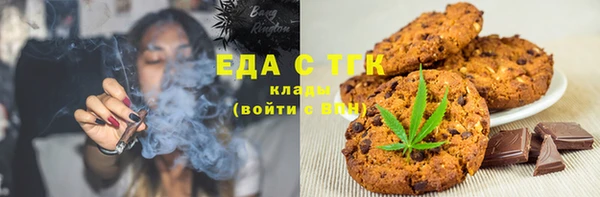 стаф Алзамай
