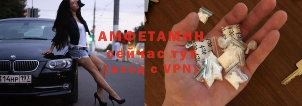 стаф Алзамай