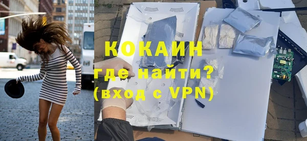 стаф Алзамай