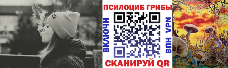Галлюциногенные грибы мухоморы  Карачев 